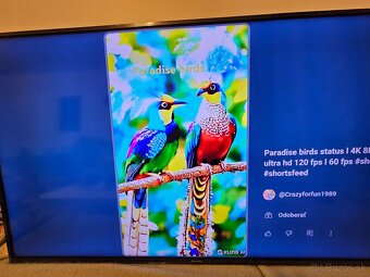 Hisense 55"(139 cm) 4K SMART, Wifi,Netflix, Youtube... - 3