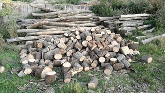 Palivové drevo - 3