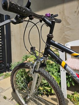 Dievčenský bike Vector Mirage - 3