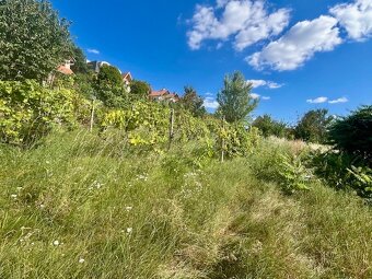 Krásny pozemok Zobor, Narcisova ul., 1145 m2, všetky IS - 3
