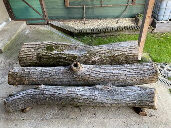 Orechové kmene, guľatina - 3