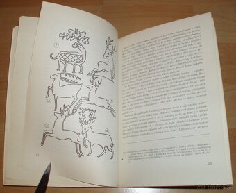 Poľovnícke trofeje a výrobky - 3