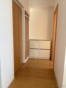 1 izbový byt na prenájom - 3
