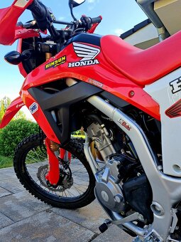 HONDA CRF 300 L - 3