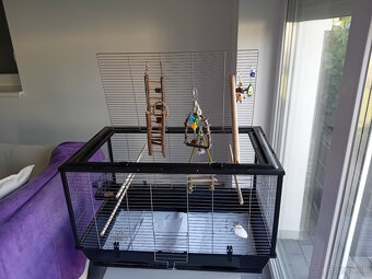 predam novu klietku - 3