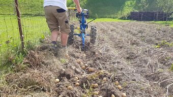 Vyorávací pluh - Agzat - NOVÝ - 3