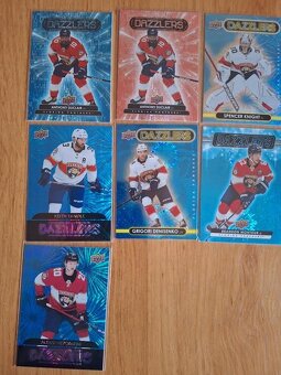 Hokejove karty,kartičky Florida Panthers - dazzlers - 3