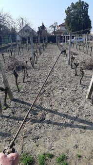 Postrekovač 50l s el. kompresorom - 3