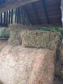 Seno malé balíky - 3