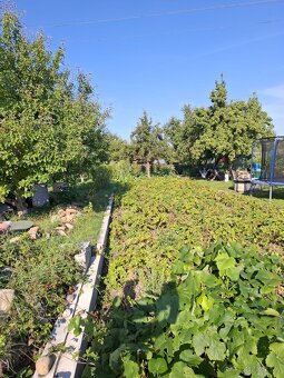 Záhrada na sídl. Mier, Sp. Nová Ves - 3