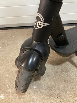 BIRD 350W - 3