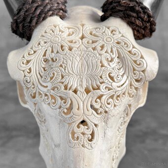 Autentická biela vyrezávaná lebka kozy - motív veľký lotos - 3