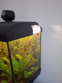 Akvárium Diversa 112l so stolíkom - 3
