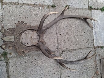 Lampa z parožia - 3