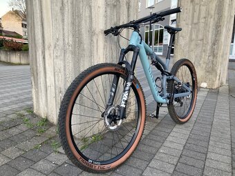 Canyon neuron 7 (2023), M - 3