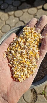 Krmivo pre nosnice - 3