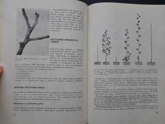 Ovocinárstvo - 3