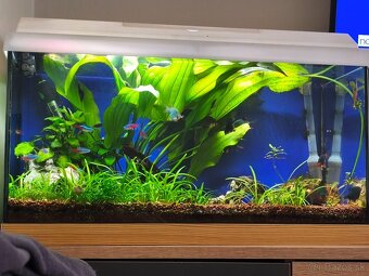 Predám akvarium - 3