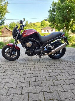 Yamaha bulldog 1100 - 3