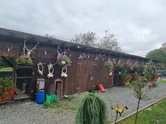 Voliery , klietky - 3