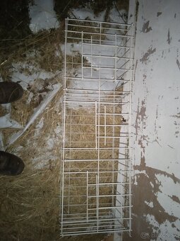 Predám budniky,sedaky,výstavné klietky krmitka pre holuby - 3