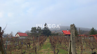 EXKLUZÍVNE NA PREDAJ Chata bez nutnosti investícií - VINNÉ - 3