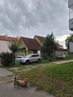 Dom na bývanie aj podnikanie - 3