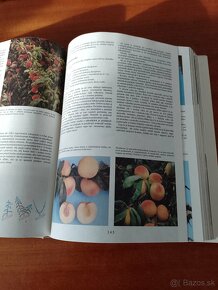 Záhradkárska encyklopédia - 3