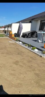 Zahradny slnecnik - 3