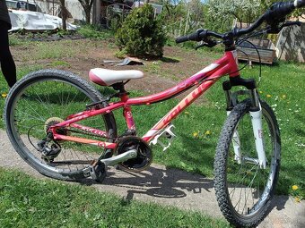 Kellys 24" - 3