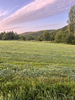Slnečný pozemok – Záhrada 3491 m² v Radome (okr. Svidník) - 3