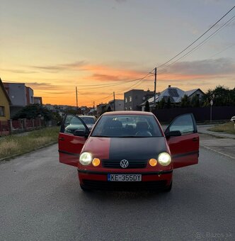 W polo - 3