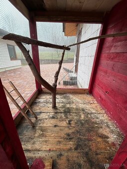 Voliéra pre papagáje - 3