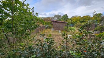 VIVAREAL POZEMOK NA REALAX  so záhradnou chatkou, výmera 55 - 3