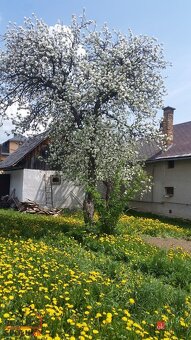 Predaj rodinného domu so záhradou v Závadke nad Hronom - 3