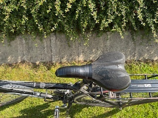 CTM - 3