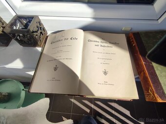 Dve stare knihy - 3