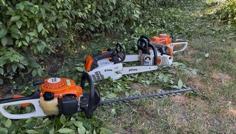 Úprava záhrad a živých plotov, vypiľovanie tují, kosenie - 3