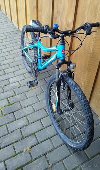 Bicykel 24" CTM Berry 2.0 - 3