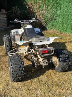 Yamaha Warrior 350 - 3