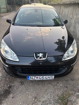 Peugeot 407 - 3