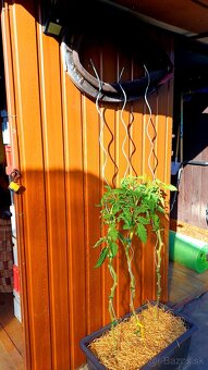 Záhradný domcek(koterec) - 3