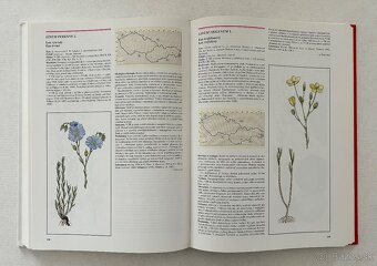 Chranené a vzácne rastliny SR a ČR - 3