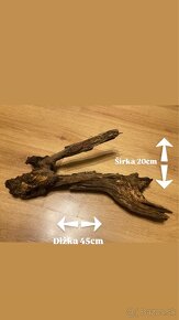 Samorasty korene dekoracia - 3