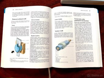 Čihák anatomie - 3