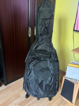 Elektrická gitara Pasadena PSD Les Paul zlatá + taška - 3