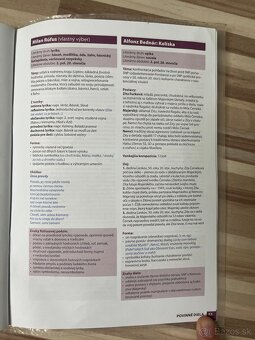 Ťahák z literatúry - 3
