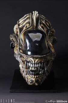 Alien head sideshow - 3