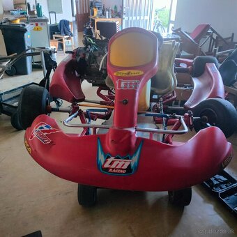 Motokára Birel Honda gx390 - 3