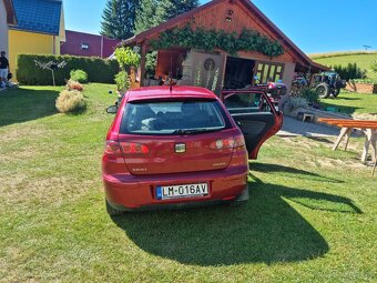 Seat ibiza - 3